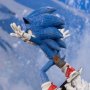 Sonic Mountain Chase