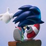 Sonic The Hedgehog Collector's Edition