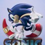 Sonic Adventure: Sonic The Hedgehog Collector's Edition