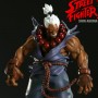 Street Fighter 2: Akuma Shin