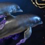 Space Dolphins
