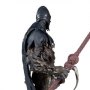 Spawn Raven