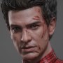 Spider-Man Deluxe Special Edition