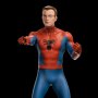 Spider-Man 60‘s Animated Series: Spider-Man Deluxe