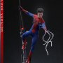 Spider-Man Deluxe Special Edition