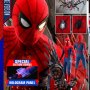 Spider-Man Deluxe Special Edition