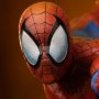 Spider-Man Special Edition