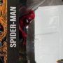 Spider-Man (Spider-Man #6)