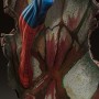 Spider-Man (J.Scott Campbell - Sideshow) (studio)