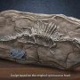 Spinosaurus 2.0 Land Wonders Of Wild Series Deluxe