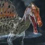 Spinosaurus Wonders Of Wild Series