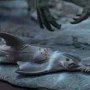 Spinosaurus Wonders Of Wild Series Deluxe