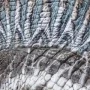Spinosaurus Legacy Museum Collection Bonus Edition