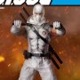 Storm Shadow