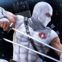 Storm Shadow