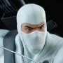 Storm Shadow