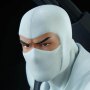 Storm Shadow