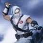 Storm Shadow