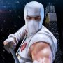 Storm Shadow