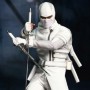 Storm Shadow (studio)