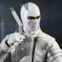 Storm Shadow (studio)