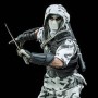 Storm Shadow Assassin (studio)