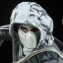 Storm Shadow Assassin (studio)