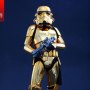 Stormtrooper Gold Chrome (Hot Toys China)