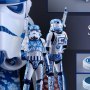 Stormtrooper Porcelain Pattern (Hot Toys)