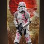 Stormtrooper Cherry Blossom (Hot Toys)