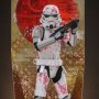 Stormtrooper Cherry Blossom (Hot Toys)