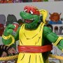 Stump Wrestling Turtles Archie Comics 4-PACK