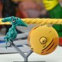 Stump Wrestling Turtles Archie Comics 4-PACK
