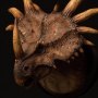 Styracosaurus Brown