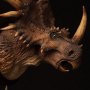 Styracosaurus Brown