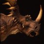 Styracosaurus Brown