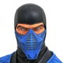 Mortal Kombat XI: Sub-Zero