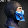 Sub-Zero (studio)