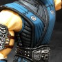 Sub-Zero vs. Scorpion PF (Syco Collectibles) (studio)