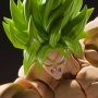 Super Saiyan Broly Fullpower