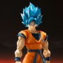 Super Saiyan Broly God Goku