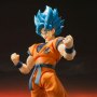 Dragon Ball Z: Super Saiyan Broly God Goku