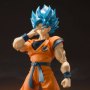 Super Saiyan Broly God Goku