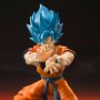 Super Saiyan Broly God Goku