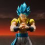 Super Saiyan Broly Gogeta