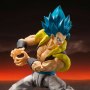 Super Saiyan Broly Gogeta