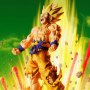 Dragon Ball Z: Super Saiyan Son Goku-Are You Talking About Krillin Extra Battle