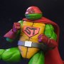 Super Turtle Mirage Comics