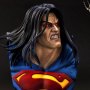 Superman Deluxe