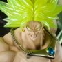 Super Saiyan Broly (Tamashii Web)